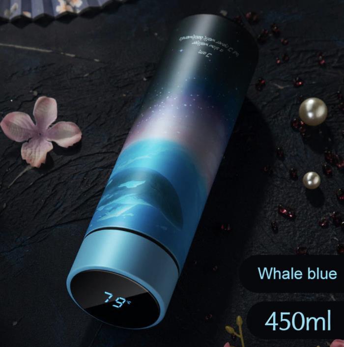 Thermos Bottle with Temperature Display
