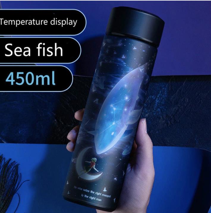 Thermos Bottle with Temperature Display
